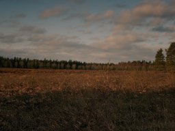 IMGP3834_Morgenstemning over heden